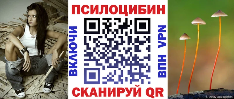 Купить закладки  Шенкурск  Галлюциногенные грибы прущие грибы 